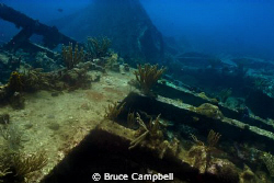 Wreckage from the RMS Rhone by Bruce Campbell 